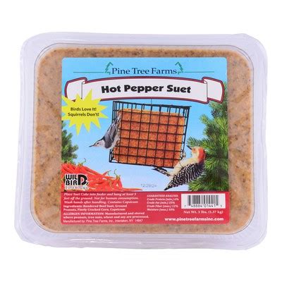 3lb Hot Pepper Suet The Bird House NY
