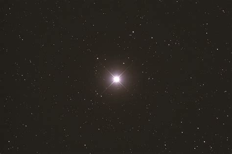 capella star profile  capella hotels  resorts