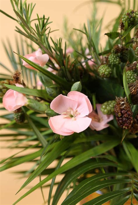 BIOPHILIC // BLISS - Agora Group