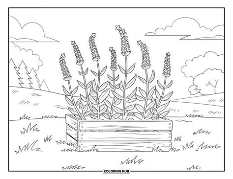 Desenhos Para Colorir Plantas - 6