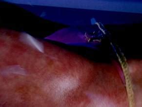 CHELAN SIMMONS Nude AZNude