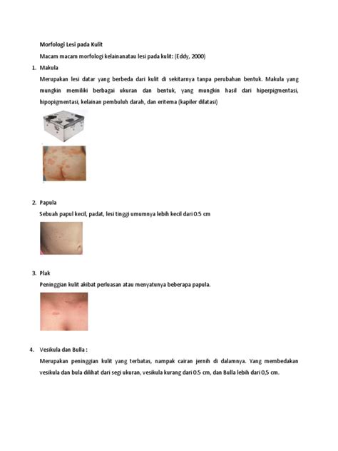 Morfologi Lesi Pada Kulit Pdf