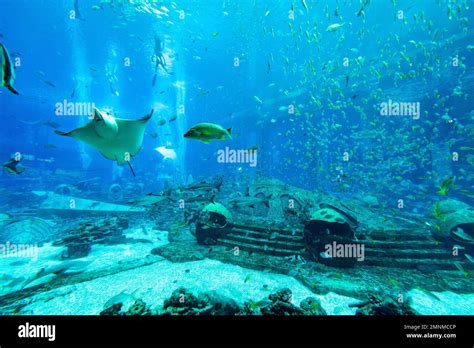 Atlantis Hotel Aquarium Stock Photo Alamy