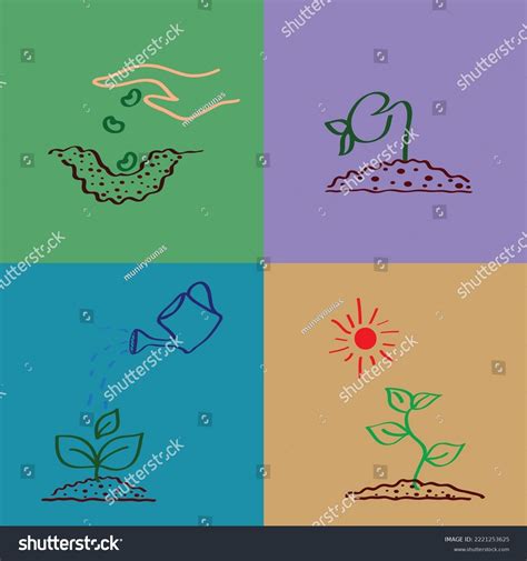 This Is A Plant Drawing Template Vector Royalty Free Stock Vector