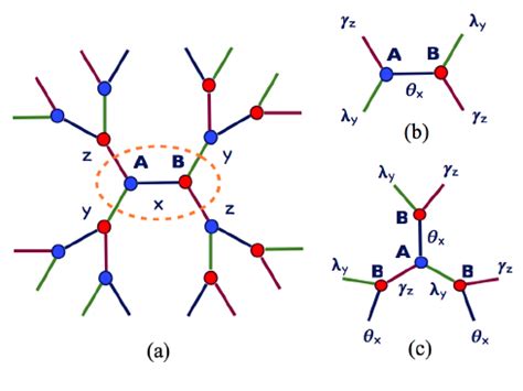 Color Online A The Q 3 Bethe Lattice Every Site Has 3 Nearest