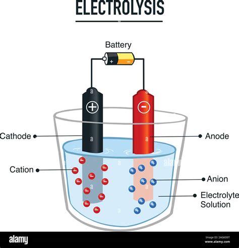 Electrolysis Experiment Imágenes Vectoriales De Stock Alamy