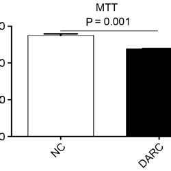 Darc Inhibited Epithelial Ovarian Cancer Cell Viability In Vitro The