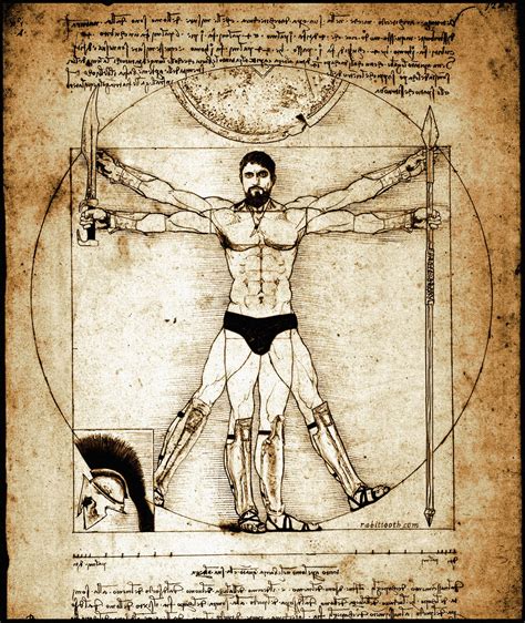 History Of The Vitruvian Man