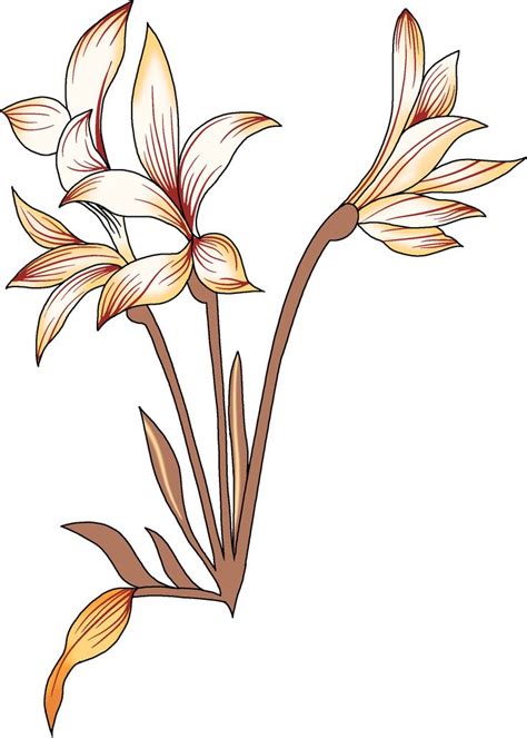 Pin By Kiran CH On Flowers Botanical Flower Art Flower Drawing