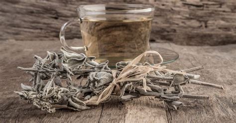 Tisane à la sauge Propriétés et recette de l infusion