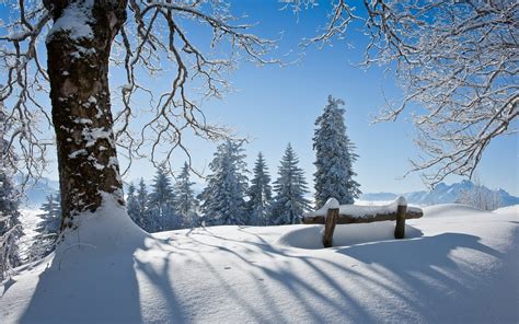 Winter Scenery wallpaper | 1920x1200 | #69065