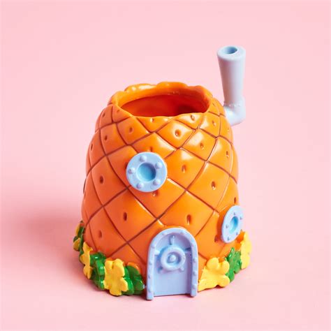 The Bikini Bottom Box Winter MSA