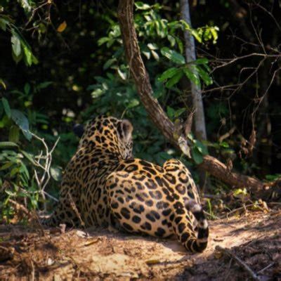 Lea Nakedd Lea Naked Twitter