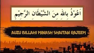 Auzubillah Minash Shaitan Rajeem - img-primrose