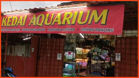 15 Kedai Aquarium Shah Alam Near Me Terbaik Murah