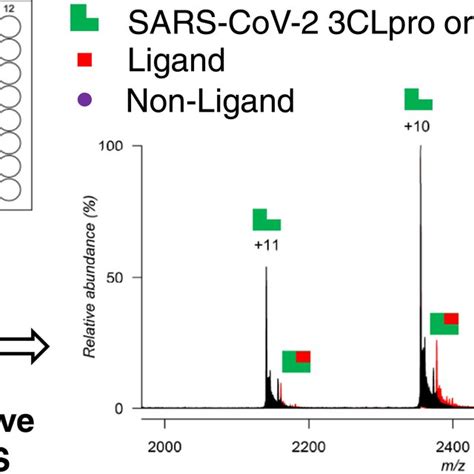 Native Ms Screening Applied To The Discovery Of Inhibitors Of Download Scientific Diagram