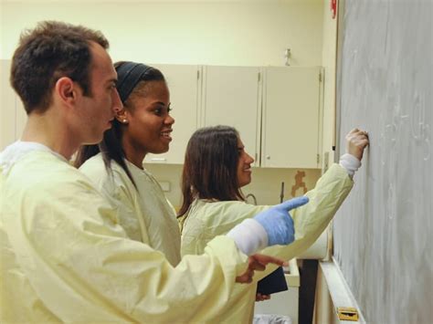 Bachelor Of Science In Health Sciences Bs Degree Rush University