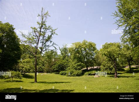 Summit Rock At Mid Park Quadrant In Central Park Stock Photo Alamy