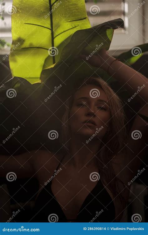 Rubia Sexy En Bikini Negro Posa A La Sombra De Hojas De Palma Foto De Archivo Imagen De Arena