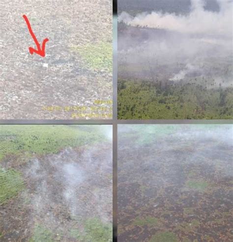 GoRiau 2 Ribu Hektar Lebih Lahan Di Riau Terbakar Dalam 7 Bulan Ini