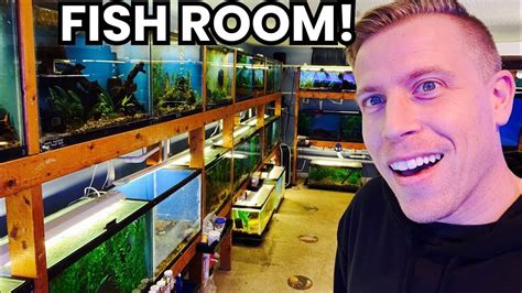 Insane Fish Room Tour With 70 Aquariums Youtube