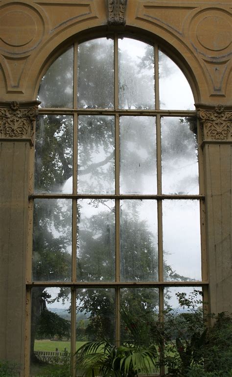 window pane  photo  pixabay pixabay