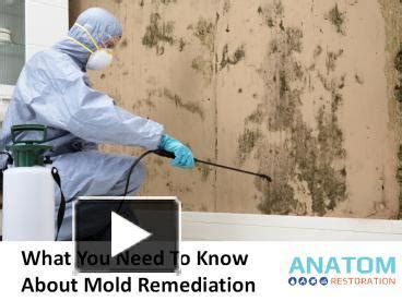 PPT What You Need To Know About Mold Remediation PowerPoint