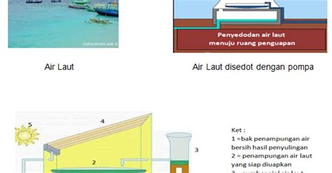 Contoh Soal Akm Literasi Smp Kelas 8 Soal Pilihan