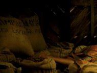 Naked Berta V Zquez In Palmeras En La Nieve