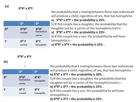 Solved Hemophilia Is A Sex Linked Trait Where XH Gives Normal Blood Clotting And Is Dominant
