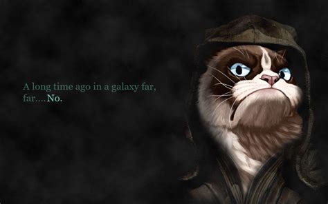 Nope Grumpy Cat Wallpapers - Top Free Nope Grumpy Cat Backgrounds ...