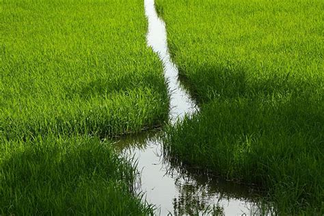 20+ Cambodia Time Zone Stock Photos, Pictures & Royalty-Free Images