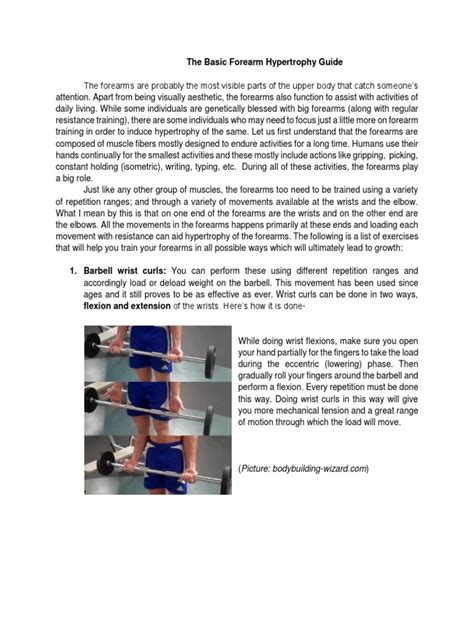 Forearm Training Guide | PDF | Elbow | Anatomical Terms Of Motion