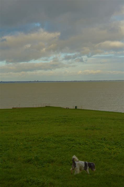 Daisy S Diary Happy Birthday Archie Babe