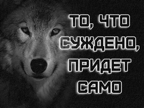 ~ ♥ ~ Сердце ВОЛКА ~ ♥ ~ | ВКонтакте