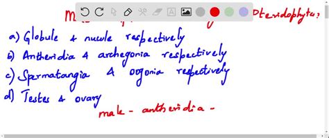 The Male And Female Sex Organs Of Pteridophyte Are Called A Globule And Nucule Respectively B