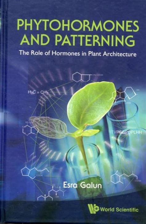 Phytohormones And Patterning The Role Of Hormones In Plant