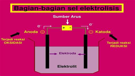 Contoh Sel Elektrolisis Serta Bagian Bagiannya Ini Dia Penjelasannya