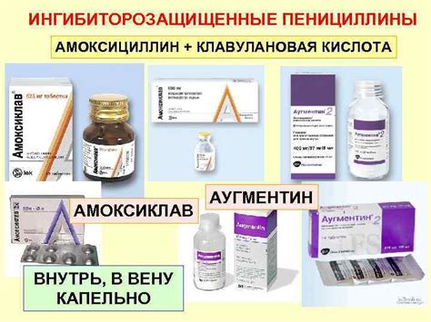ПРОТИВОМИКРОБНЫЕ СРЕДСТВА Количество описанных в настоящее время