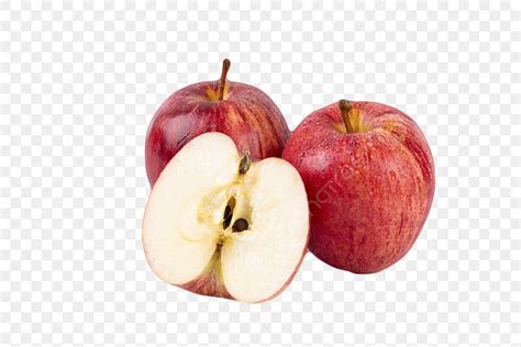 gambar apel apel buah segar png transparan  clipart  unduhan