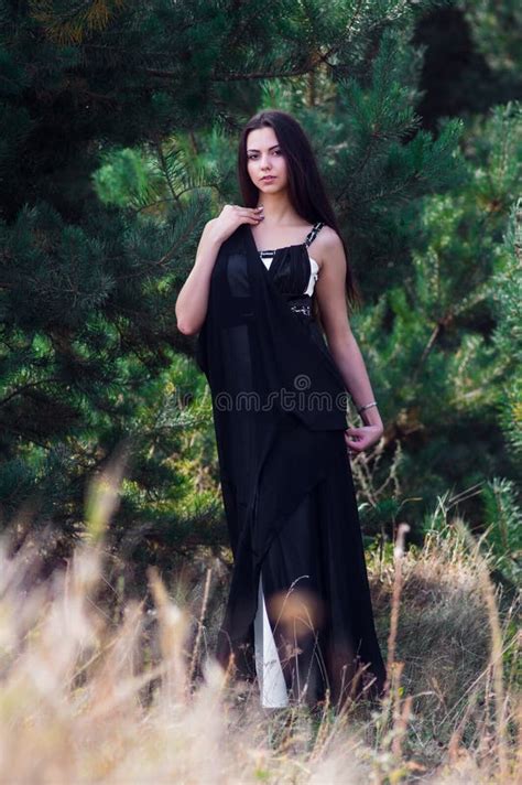 Graceful Charming Brunette Model Posing In Black Dress In Coniferous Park Stock Image Image Of