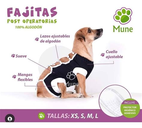 Fajas Post Quirúrgicas Operatorias Perros Gatosalgodónm Mercadolibre