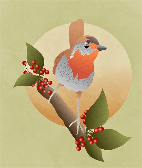 Download Robin Bird Animal Royalty Free Stock Illustration Image