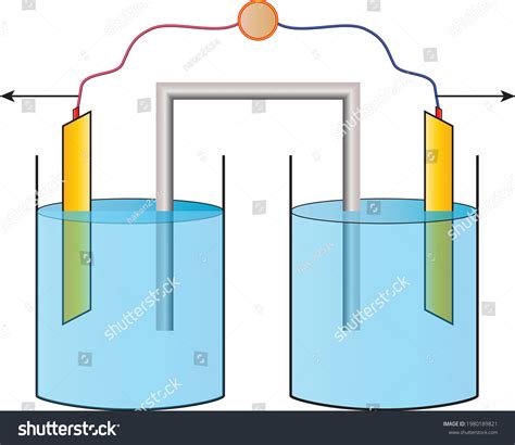 Salt Bridge Chemistry Lesson Science Ösym Stock Vector Royalty Free