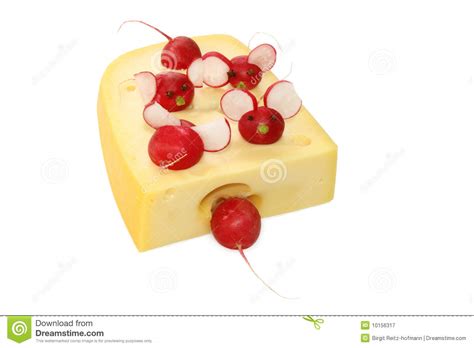 garnished cheese stock image image  fresh dalicacy