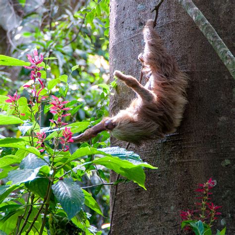 The Ultimate Costa Rica Packing List | Dotting the Map