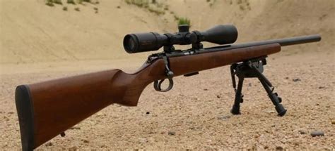 Best Scope For 17 Hmr Rifles 2025 Updated Review Scopes Reviews