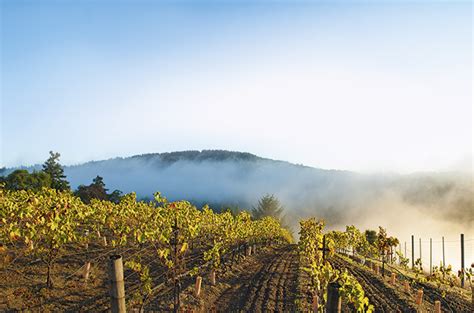 Sonoma Coast Wine Region Atelier Yuwaciaojp
