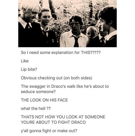 Pin By Castiel Winchester On Drarry Gay Harry Potter Harry Potter Funny Draco Harry Potter