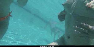 BFFS Hot BFFS Have Pool Party Orgy Megan Hot Tnaflix